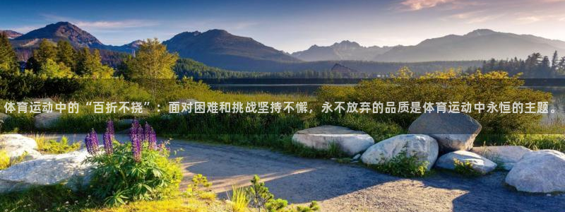3377体育官网下载招商电话号码是多少号：体育运动中