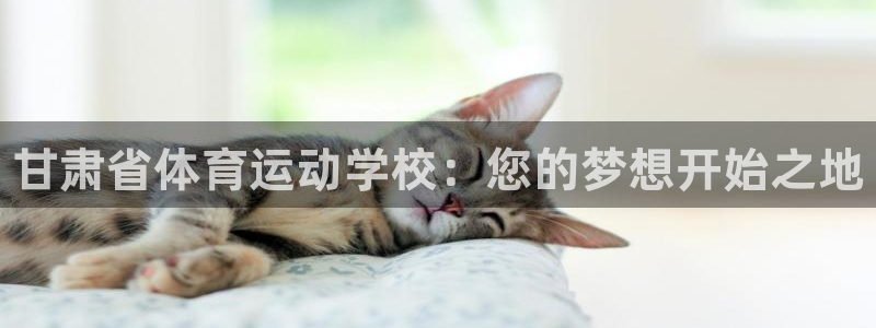 3377体育官方正版app集团官网首页