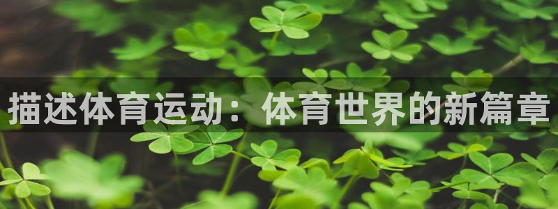 3377体育官方正版app集团官网网址：描述体育运动