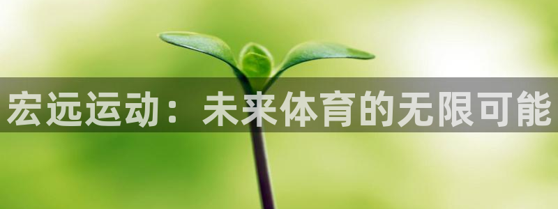 注册3377体育官方正版app：宏远运动：未来体育的