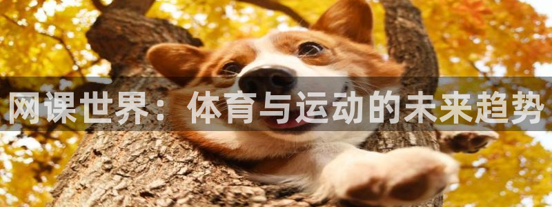 3377体育官网下载平台假的吗是真的吗：网课世界：体