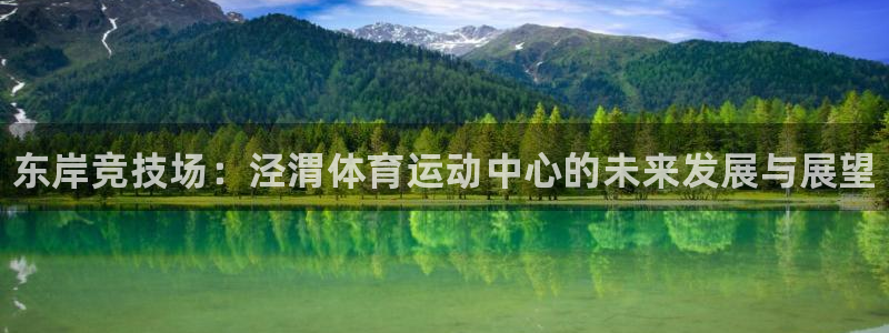 3377体育官方正版app娱乐下载：东岸竞技场：泾渭