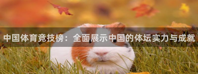 3377体育官方正版app娱乐网站：中国体育竞技榜：
