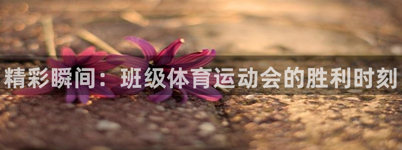 3377体育官网下载平台假的吗是真的吗吗：精彩瞬间：班级体育