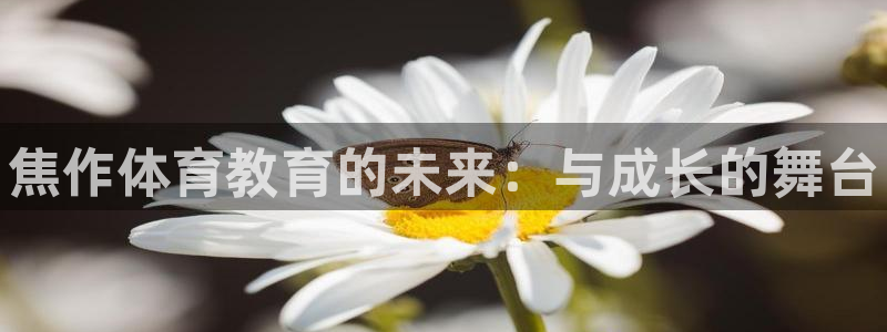 3377体育官网下载招商电话是多少啊：焦作体育教育的