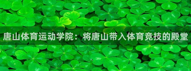 3377体育官方正版app集团E.ON