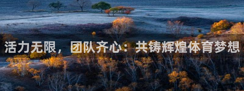 3377体育官网下载软件：活力无限，团队齐心：共铸辉