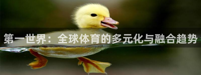 3377体育官方正版app官网：第一世界：全球体育的多元化与