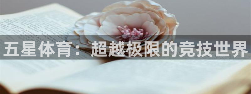 3377体育官方正版app娱乐是那个系列的台子：五星体育：超