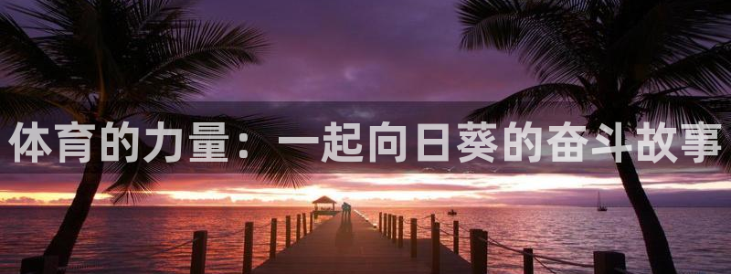 3377体育官网下载招商电话地址是多少