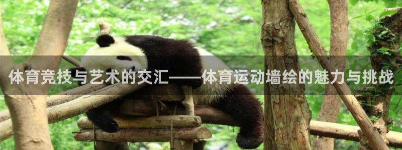 3377体育官网下载招商电话号码是多少号：体育竞技与艺术的交