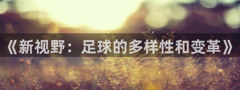  3377体育什么台子：《新视野：足球的多样性和变革》