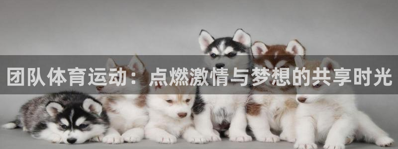 3377体育在哪个国家运营：团队体育