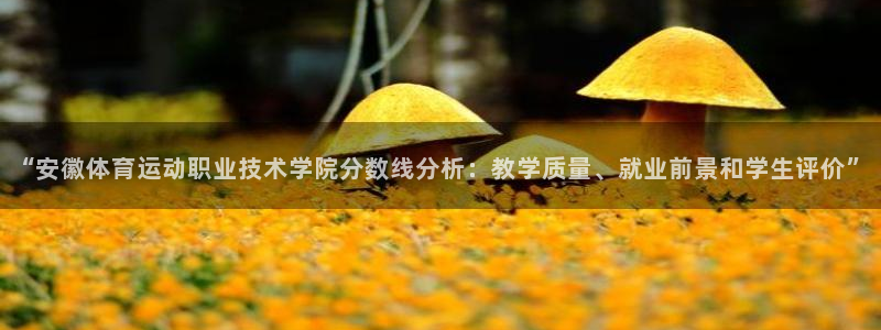 3377体育提款失败的原因分析：“安