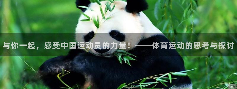 3377体育合法吗：与你一起，感受中