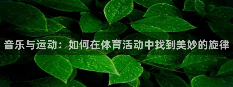 3377体育是什么：音乐与运动：如何