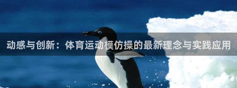  3377体育是正规平台吗还是黑金：动感与创新：体育运动模仿操