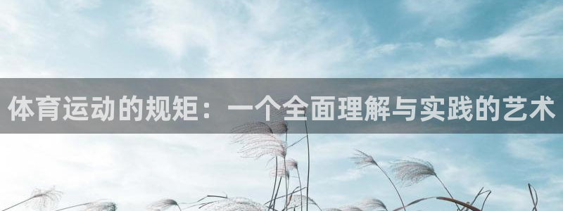 3377体育app官网下载地址：体育运动的规矩：一个全面理解