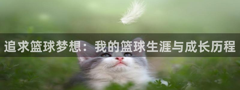 3377体育现在叫什么：追求篮球梦想：我的篮球生涯与成长历程
