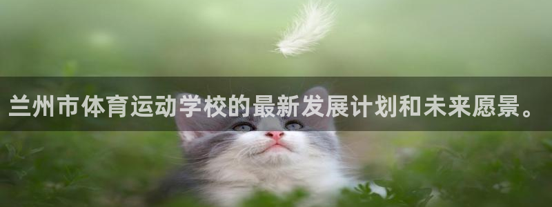 3377体育官方正版app集团logo