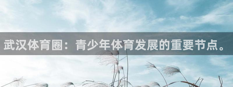 3377体育官方正版app娱乐40996：武汉体育圈