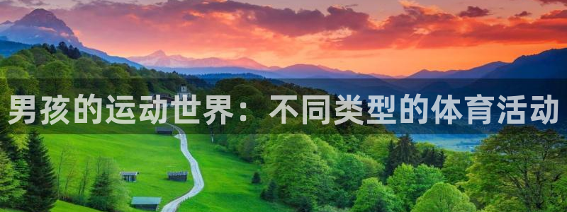 3377体育官方正版app代理：男孩的运动世界：不同