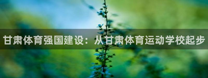 3377体育官网下载平台注册:甘肃体育强国建设:从甘肃体育运