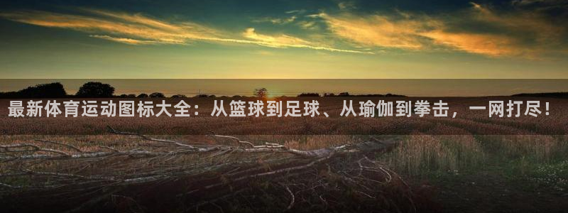 3377体育官方平台体育