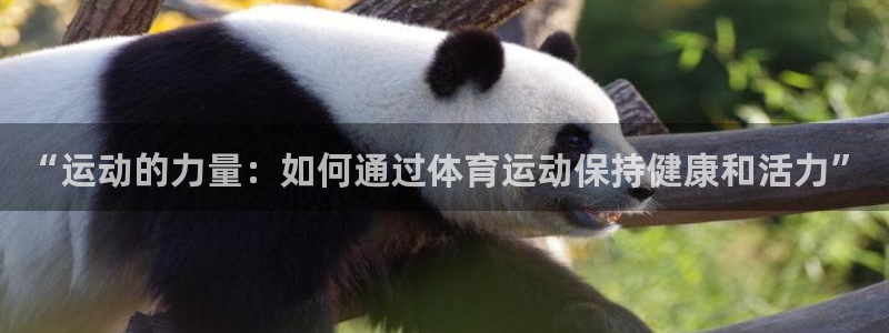 3377体育官网下载招商电话地址是多少:“运动的力量:如何通