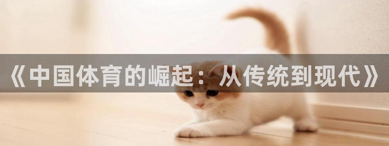 3377体育官方正版app新能源:《中国体育的崛起:从传统到