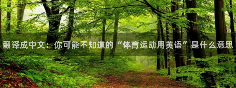 3377体育官方正版app娱乐平台:翻译成中文:你可能不知道