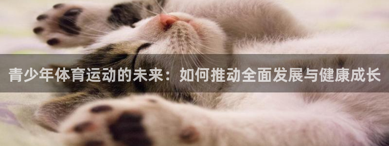 3377体育官方集团官网：青少年体育运动的未来：如何