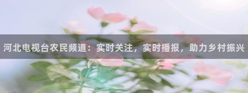 178足球直播在线观看