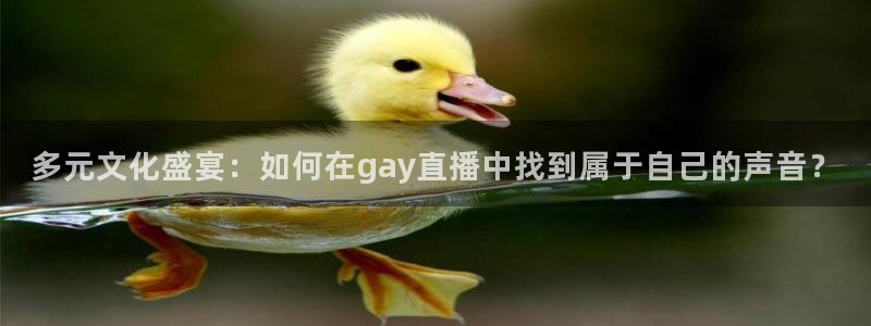 直播178足球：多元文化盛宴：如何在gay直播中找到属于自己的声音？