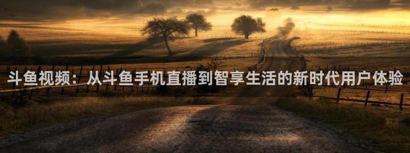 雨燕体育直播178：斗鱼视频：从斗鱼手机直播到智享生活的新时代用户体验